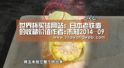 世界杯买球网站