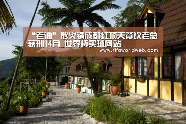 “老油”熬火锅成都红顶天餐饮老总获刑14月_世界杯买球网站(图3) 世界杯买球网站官网