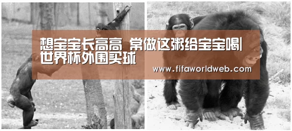 想宝宝长高高 常做这粥给宝宝喝|世界杯外围买球(图2) 世界杯外围买球