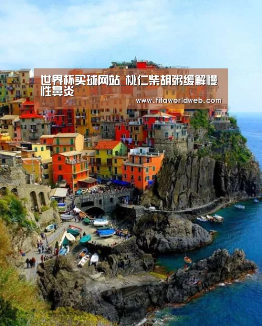 世界杯买球网站_桃仁柴胡粥缓解慢性鼻炎(图1) 世界杯投注