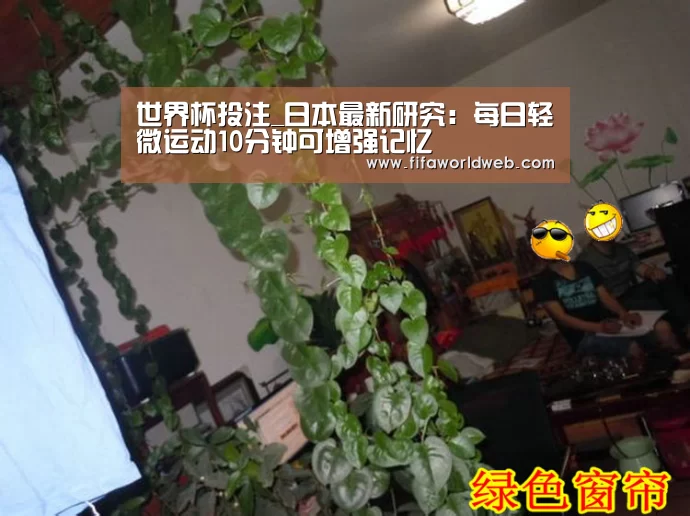世界杯买球网站官网