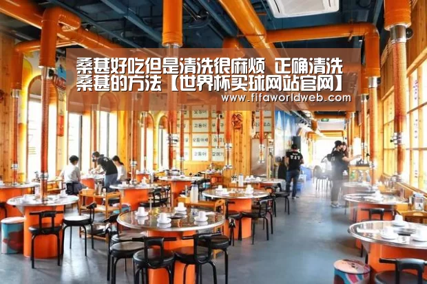 世界杯买球网站