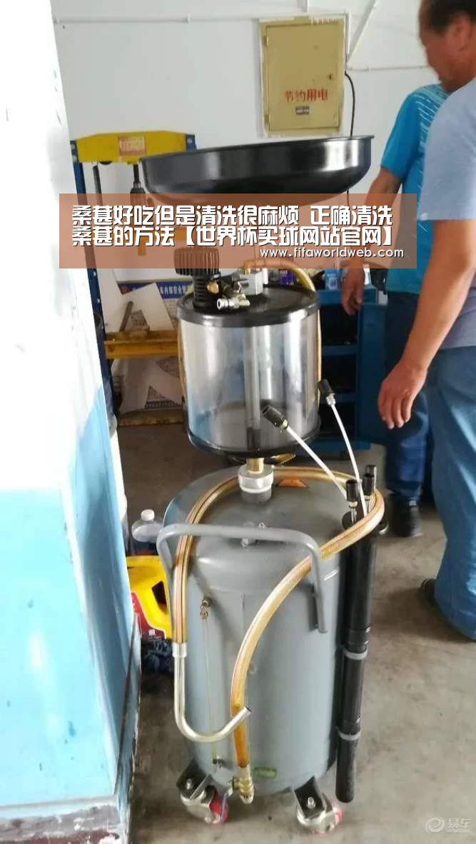 世界杯投注